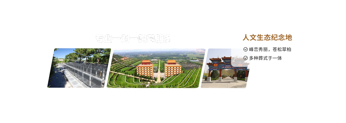 第三组广告